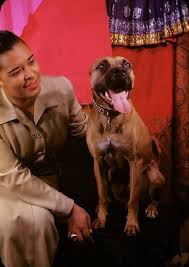 Billie Holiday March 1949 Photo Carl Van Vechten With Her Boxer Mister Billie Holiday Billie Dog Holiday