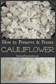 You'll find detailed directions on how to freeze cauliflower the right way and answers to common questions to get you started. How To Preserve And Freeze Cauliflower