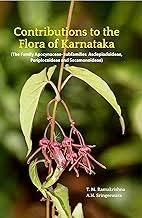 Image result for Apocynaceae subfamily Periplocoideae