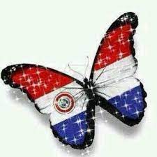 Te Amo Beautiful Butterflies Novelty Christmas Butterfly