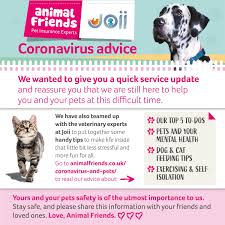 Pet insurance by pet experts. Animal Friends On Twitter We Would Like To Thank Our Customers For All Of Your Amazing Feedback About Our Latest Coronavirus Email Please Visit This Link To Read The Full Advice Https T Co Ycst1mmias