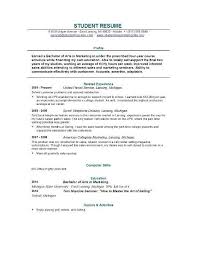 sales resume format resume templates