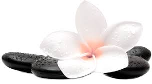 Establishment, health, beauty salon, hair care and spa at 45 here you will find detailed information about antigonish aesthetic centre: Day Spa Aromatherapy Session Wax Depilation Spa Antigonish Ns