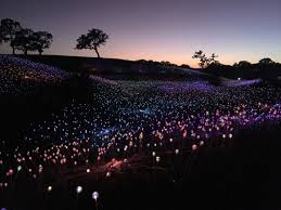 Here S The Best Way To Experience The Field Of Light In Paso Robles Paso Robles Weekend Escape Before Sunset