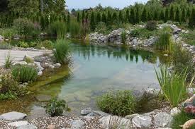 Teichbau Axel Dieterich Teichbau Schwimmteiche Natural Swimming Ponds Natural Pool Natural Pond