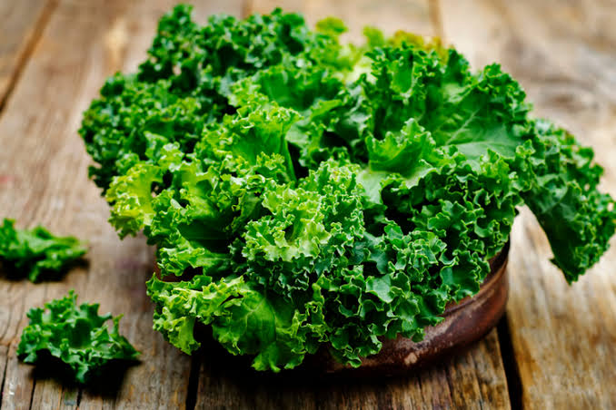 CẢI KALE (XOĂN)/ KALE - Yuth Farm - Bring you the fruit of pure heart