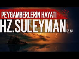 Hz Suleyman Ile Baykus Arasinda Gecen Konusma Buyuk Ibret Iceren Hikaye Can Demiryel Youtube