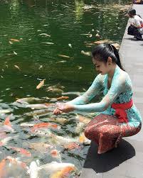 Kalau Tya Dsuruh Milih Drumah Ada Kolam Renang Atau Kolam Ikan Ya Jelas Milih Kolam Ikan Secara Ikannya Lucu Gini Bahagia Aj Kolam Ikan Koi Gadis Cantik Asia