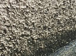 外壁に繁殖した苔を自分で取る方法