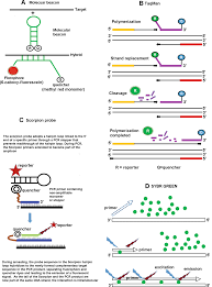 Molecular Breeding Springerlink