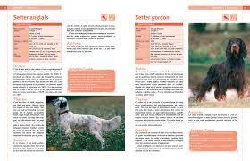 En revanche, certaines races sont plus difficiles à éduquer que d'autres, notamment de par leur patrimoine génétique. Encyclopedie Visuelle Des Races De Chien Alain Fournier Amazon De Bucher