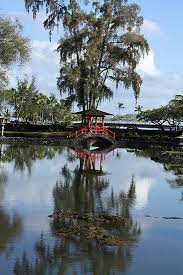 Japanese Garden Hilo Hawaii By Shareece Japanese Garden Hanging Garden Big Island