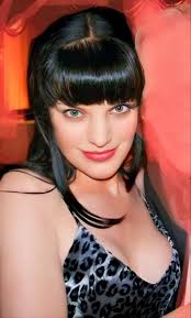 BE CV BK.2025-R-D BE CV BK.2025-R-D***