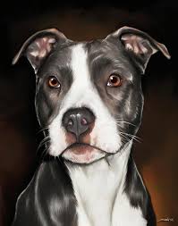 Black And White Pit Bull Terrier Pin On Art