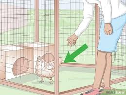 After your baby is in the bath, you will not be able to leave them unattended. How To Bathe A Chicken With Pictures Wikihow