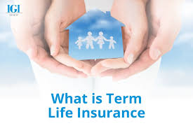What is Term Life Insurance - IGI Insurance