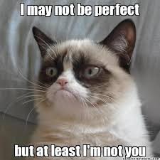 A Collection Of Grumpy Cats Best Memes Funny Grumpy Cat Memes Grumpy Cat Humor Grumpy Cat Quotes
