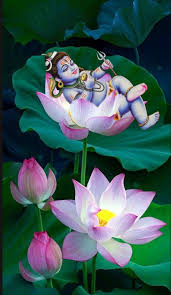Baby Lord Shiva Hd 730x1262 Wallpaper Teahub Io Shiva wallpaper, hindu wallpapers, hindu dharma shiv bhagavan photos whoa.in !! baby lord shiva hd 730x1262 wallpaper