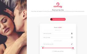 Camzey: Safe To Use Or Uncertain?