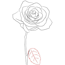 How To Draw A Rose Simple Step By Step Dessin Dessin A Faire Fleurs