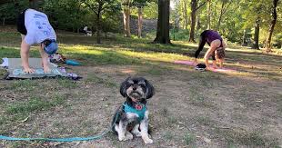 Check spelling or type a new query. Yoga With Michelle In Riverside Park Ilovetheupperwestside Com