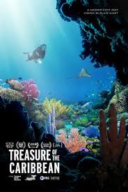 Treasure of the Caribbean | Tangled Bank Studios
