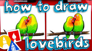 How To Draw Lovebirds Art For Kids Hub Bird Art Art For Kids