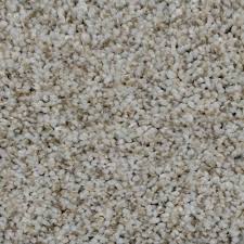 Gothem Stucco 905 Carpet Samples Rugs On Carpet Home Decorators Collection