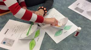 In this mystery, students are introduced to acids, a group of substances with a reputation for being reactive. Third Grade Flower Power Youtube