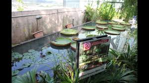 1 lebuh bandar utama bandar utama, petaling jaya 47800 malaisie. Secret Garden 1 Utama Walk Through Youtube