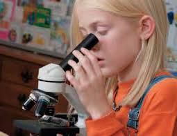 Measures of Success Visit the Beamer Student Center Alumni Awards