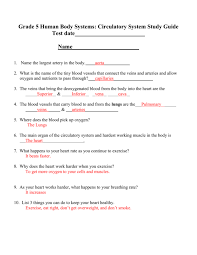 Grade 5 Human Body Systems Circulatory System Study Guide