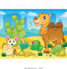 See actions taken by the people who manage and post content. Pal Clipart Of A Fox And Camel By Cactus Plants In A Desert Landscape By Visekart 156015