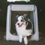 Custom Inflatable Pet Kennels for travel from www.purewow.com