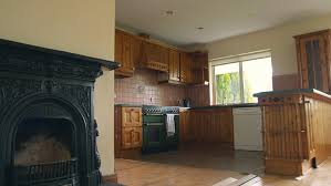 Before i give you the steps on how to make your carpet shampoo that kills fleas, i need to provide you with some life hacks about fleas that you might not know. Episode 1 Kildare Room To Improve Series 12 Coco Content