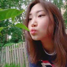 Hello everyone! I am traveling to NYC tomorrow and arrive at Newark around  3:00pm. As it is the 4th of July I was wondering if there may be any travel  restrictions or