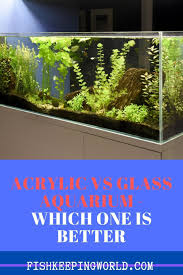 Acrylic Vs Glass Aquariums Which Is Better Glass Aquarium Aquarium Fish Tank