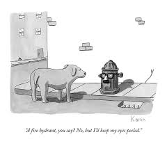 A Fire Hydrant By Zachary Kanin The dogs love fire hydrants trope as used in popular culture. a fire hydrant by zachary kanin
