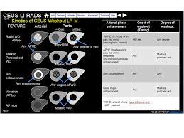 On tonight's #lirads social hour, we discussed interesting mri protocols on mice @vchernyakmd, is @rsna 2021 really going to be live this year?, and talks we are giving that are not about the liver for. Image Result For Lirads