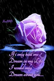 See more of flowers for dreams on facebook. Good Night If I Only Had One Dream In My Life Good Night Wishes Good Night Blessings Good Night Friends