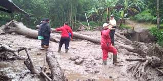Banjir bandang di tugu selatan, cisarua, bogor, disebabkan saluran air tersumbat sampah berupa akar pohon. 6lf5wb2kalxnfm