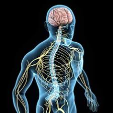 Image result for Ataxia