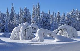 We did not find results for: Winter Scene Pictures Free Stock Photos Download 5 074 Free Stock Photos For Commercial Use Format Hd High Resolution Jpg Images