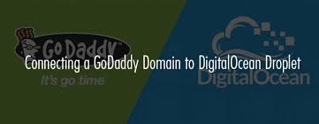Connecting A Godaddy Domain With Digitalocean Droplet Step By Step Guide With Images Top5hosting Co Uk