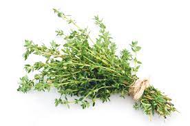 The Best Substitute For Thyme Southern Living