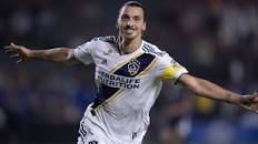 Image result for zlatan