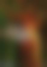 Bad Girls Behind Bars DVD (Amazon Jail / Bare Beyond Bars / 99 Women /  Sadomania / Women Behind Bars)