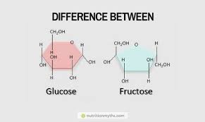 Difference Between Fructose And Glucose Nutrition Myths Glucose Nutrition Myths