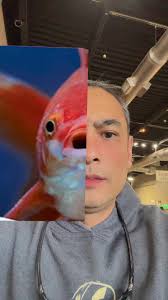 This is Sparta!!! 😂 @Frederick Soule #thisissparta #manlyman