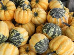 Image result for carnival acorn squash